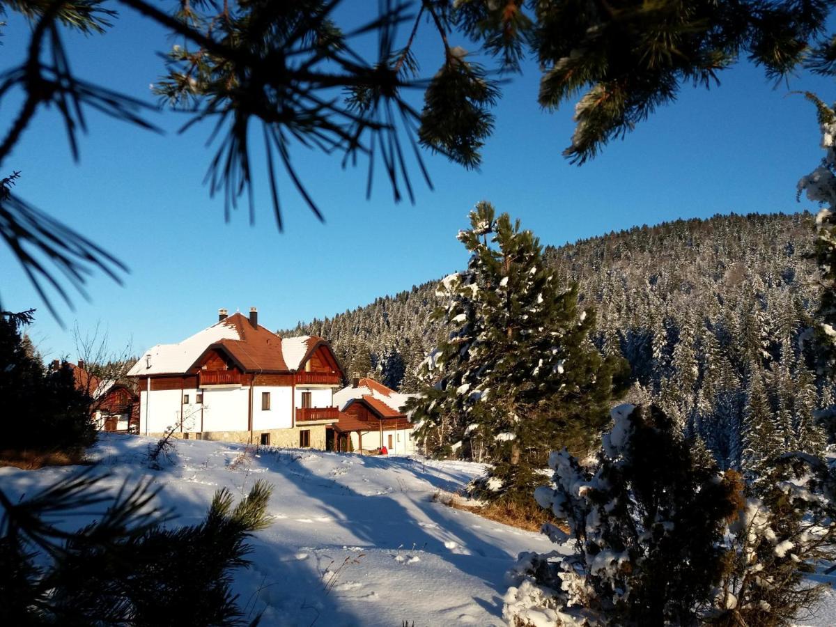 Apartmani Suncani Breg Tara Mitrovac Εξωτερικό φωτογραφία