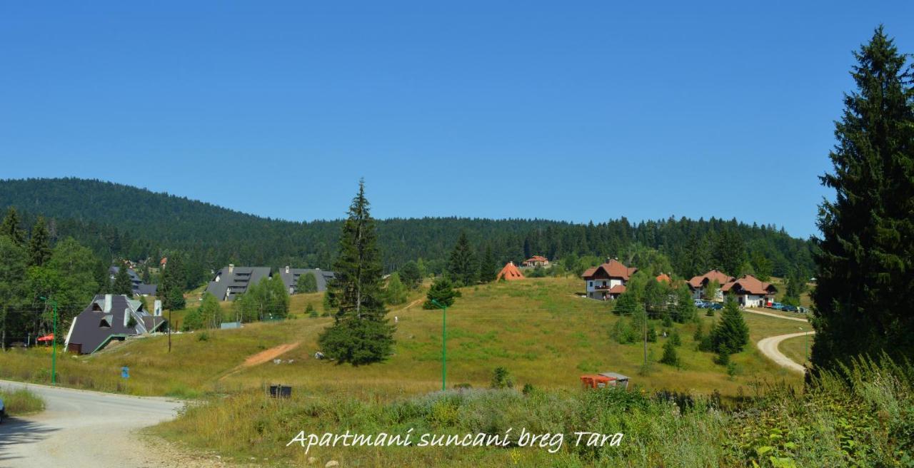 Apartmani Suncani Breg Tara Mitrovac Εξωτερικό φωτογραφία